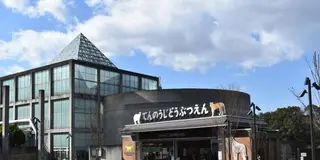 大阪の自然科学芸術に触れる旅