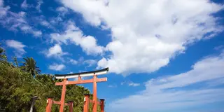 【宮崎・南部】開放感いっぱい！魅力あふれる青島や都井岬で、優しい自然の懐に包まれよう！