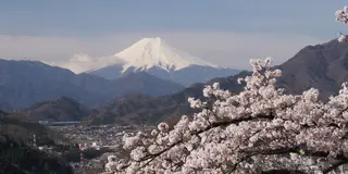 新宿から120分で富士山絶景スポット、プチ登山。
