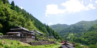 【椎葉村特集】歴史的景観の残る十根川集落と巨樹巨木を楽しむ旅