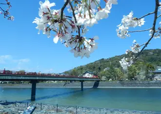 春近し～京都・山城🌸