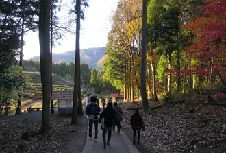 奥琵琶湖を満喫！木之本と鶏足寺の紅葉散策道をまったり散策