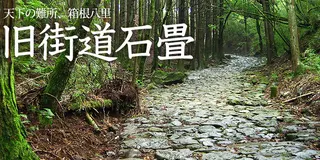 箱根東坂（小田原宿→畑宿→芦ノ湖→箱根宿)　　　　　　　　　18㎞を歩く