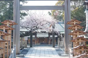 桜🌸を見に🚢横浜散歩