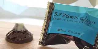 静岡で富士山の18万分の1のお菓子を買ってうなぎも食べる日帰り旅行