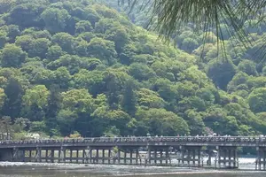 新緑の嵐山、世界遺産 天龍寺と仁和寺
