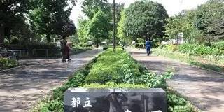 しってる？東京周辺の公園🌳🌷