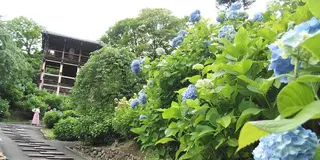 「そうだ、京都・洛西の穴場の寺社、行こう。」