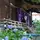 白山神社