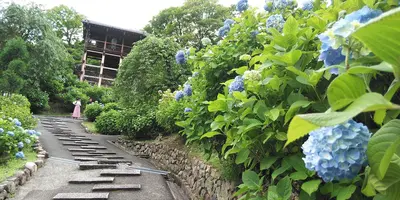 京都観光 年６月はここをチェック Holiday ホリデー