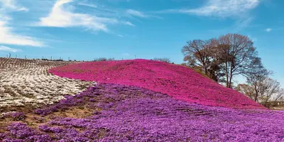 千葉観光 年10月はここをチェック Holiday ホリデー