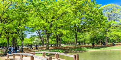 21年最新 東京でおすすめの公園25選 Holiday ホリデー
