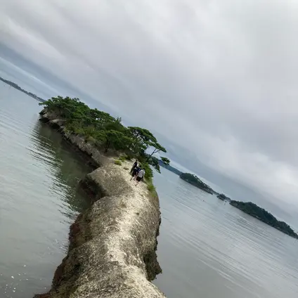 松島 馬の背