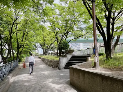 中之島緑道
