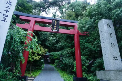 来宮神社 鳥居