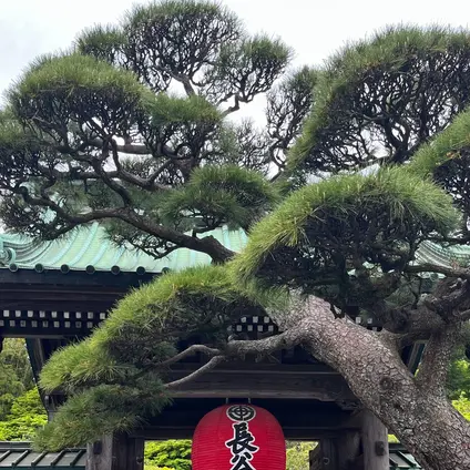長谷寺
