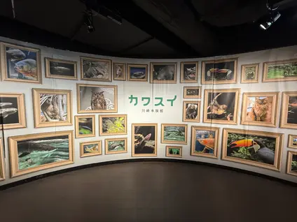 カワスイ川崎水族館