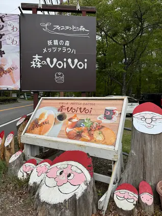ヴォイヴォイ