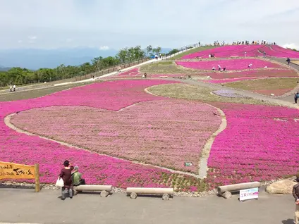 天空の花回廊　芝桜の丘
