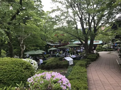 澤乃井園　清流ガーデン