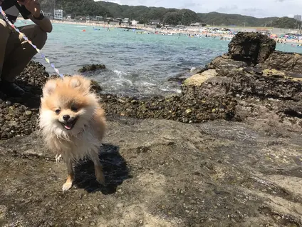 守谷海水浴場