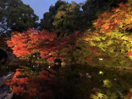徳川園