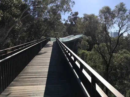 Kings Park and Botanic Garden（キングスパーク＆植物園）
