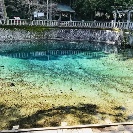 別府弁天池