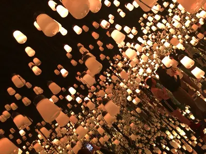 【閉業】森ビルデジタルアートミュージアム：エプソン チームラボボーダレス（MORI Building Digital Art Museum: EPSON teamLab Borderless）
