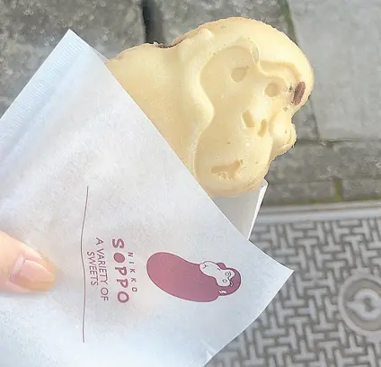 雲IZU 日光店