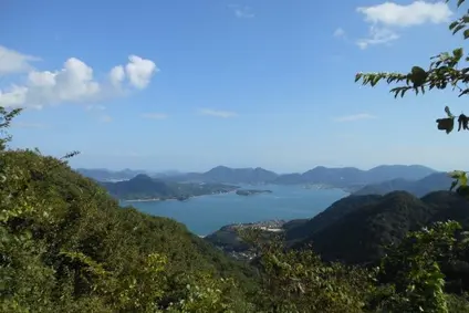 竜王山展望台