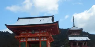 清水の舞台から飛び降りる思い？京都・祇園界隈を練り歩く