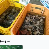 おさかな村の写真・動画_image_59920