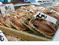 おさかな村の写真・動画_image_59921