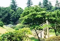 箱根山の写真・動画_image_207119