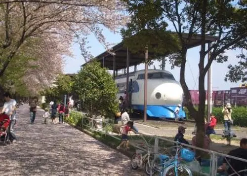 鉄道ファン必見！満開の桜と一緒に記念撮影しよう！