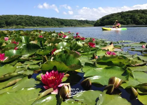 【青森県】湖と自然を全力で楽しむためのプラン🪿🌿
