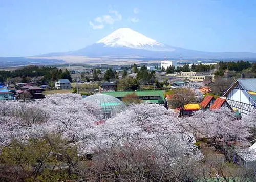 日本一(!?)富士山の絶景を堪能できるリゾート施設♪