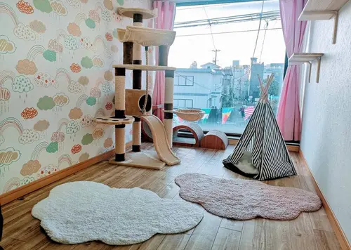 猫専用個室ペットホテル『ねこべや羽田空港店』