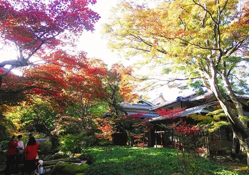 「そうだ、京都・洛西の穴場の寺社、行こう。」