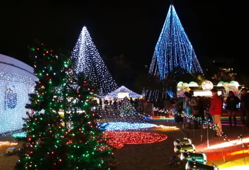 クリスマスまであと４４日、シングルベルとさようなら～。ＩＮ　香川