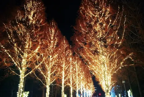 冬の夜に京都デート