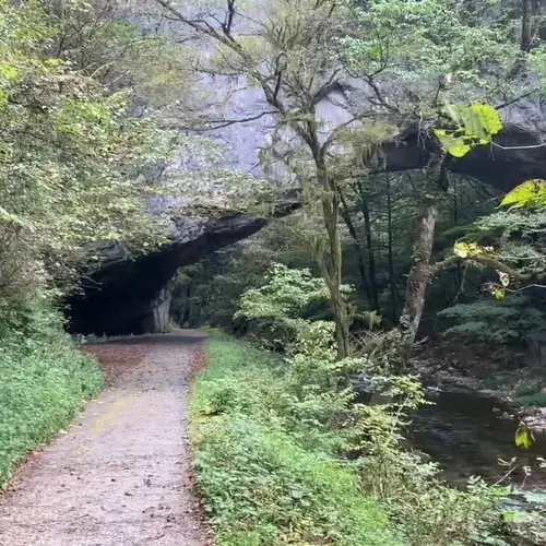 雄橋