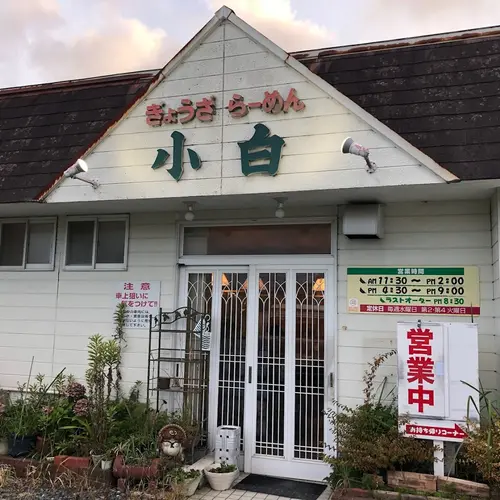 小白
