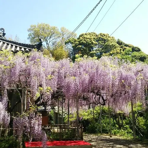 太江寺