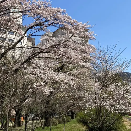しらさぎ緑地