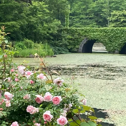 軽井沢レイクガーデン