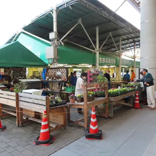 談合坂サービスエリア・上り線 やさい村