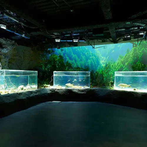 カワスイ川崎水族館