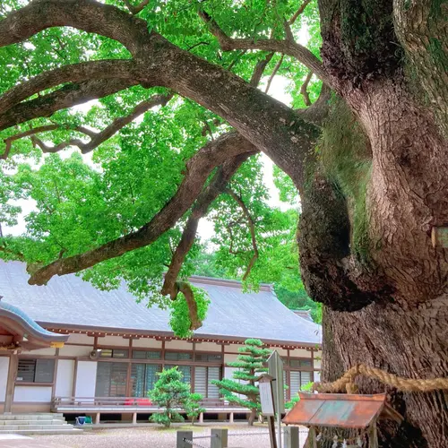 大麻比古神社